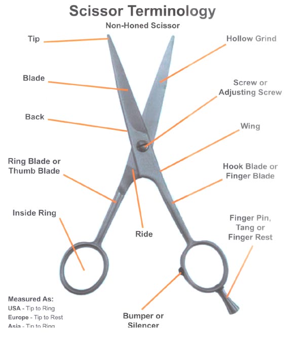 What Happens When I Send My Shears in for Sharpening? - Shears Insider